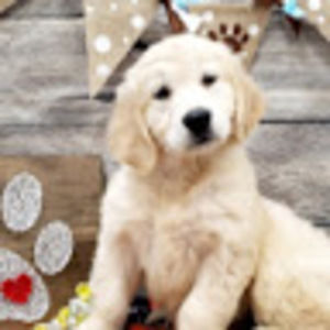 Meet your Posher, Taryn